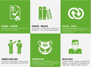 新时代国际品牌管理精英培养计划 三位一体报考下的会展经济与管理中德双学位项目解析