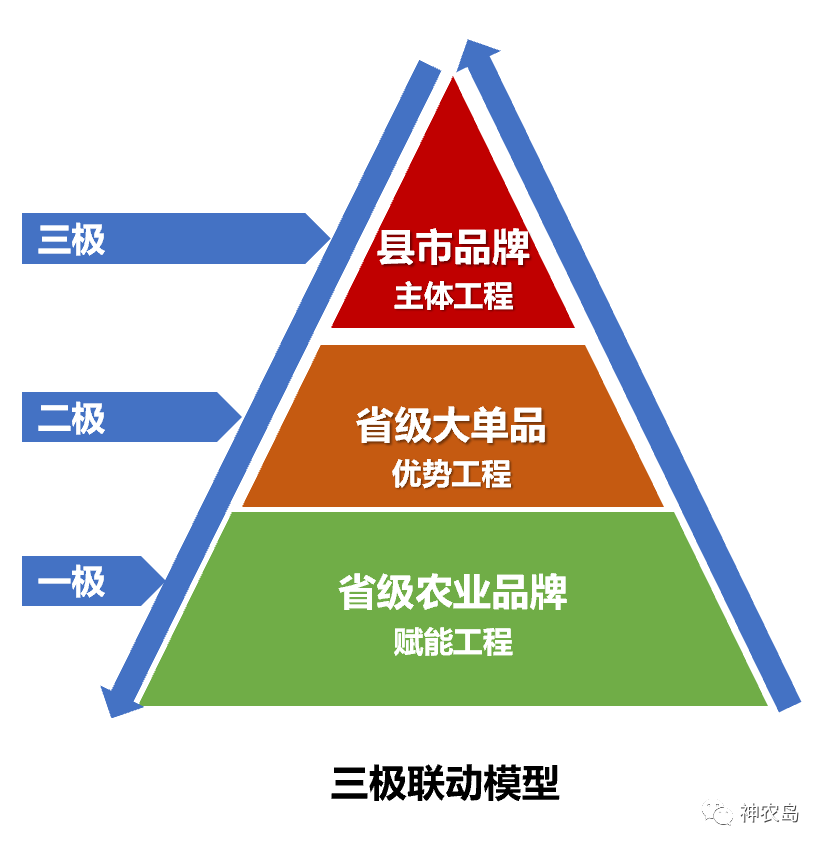 农产品区域公用品牌建设的“三大纪律八项注意”品牌管理